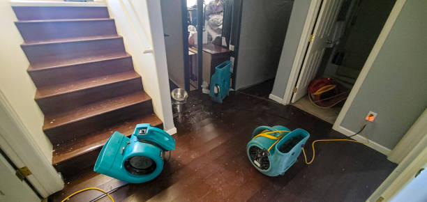 Best 24/7 water damage repair  in Celebration, FL