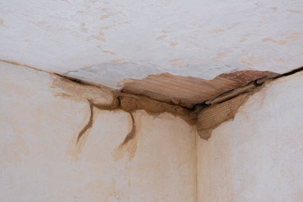 Best Commercial water damage restoration  in Celebration, FL