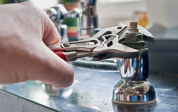 Best Flood restoration services  in Celebration, FL