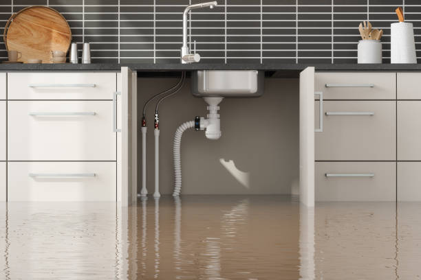 Best Emergency water damage restoration  in Celebration, FL