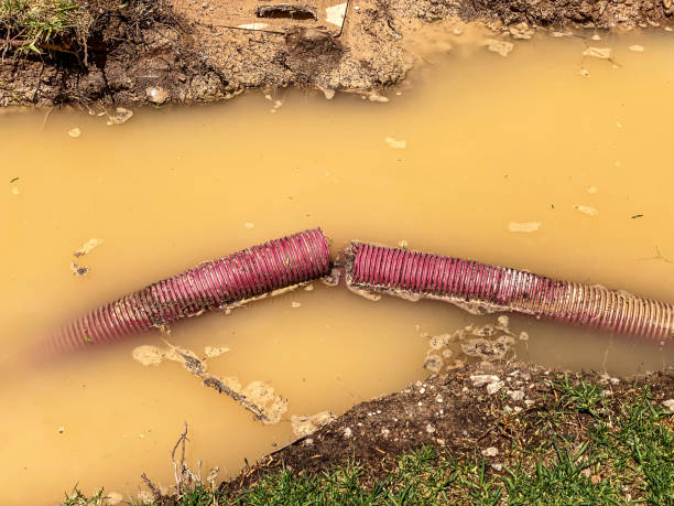 Water damage restoration experts in Celebration, FL