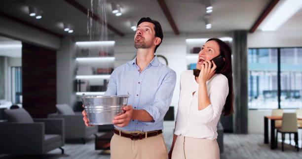 Best Professional water damage repair  in Celebration, FL