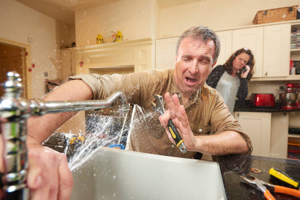 Best Flooded house restoration  in Celebration, FL
